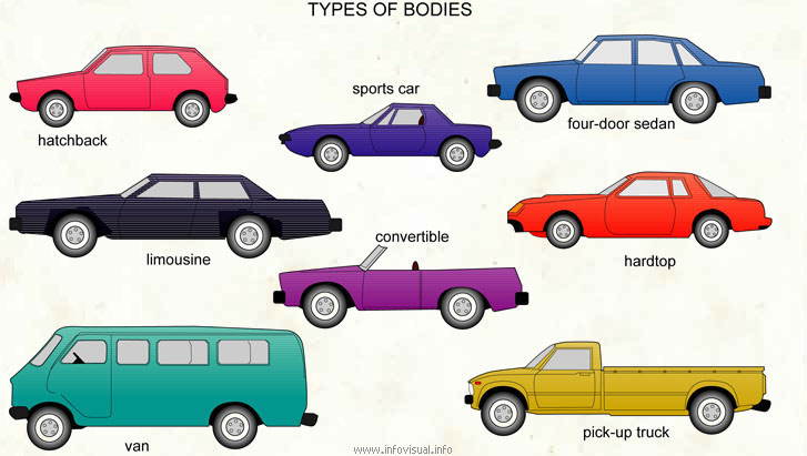 Types of bodies